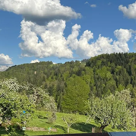 Time Out Near Of Thun & Emmental Region *