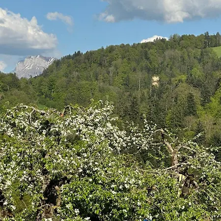 Time Out Near Of Thun & Emmental Region Apartamento *