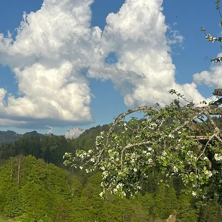 Time Out Near Of Thun & Emmental Region *