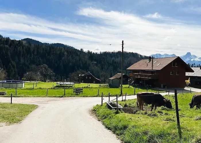 Time Out Near Of Thun & Emmental Region