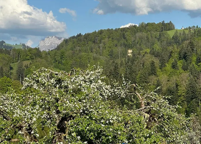 Time Out Near Of Thun & Emmental Region Apartamento *