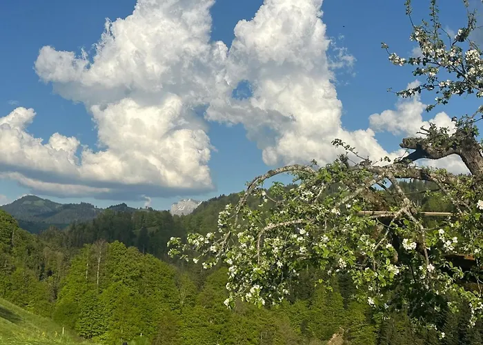 Time Out Near Of Thun & Emmental Region *