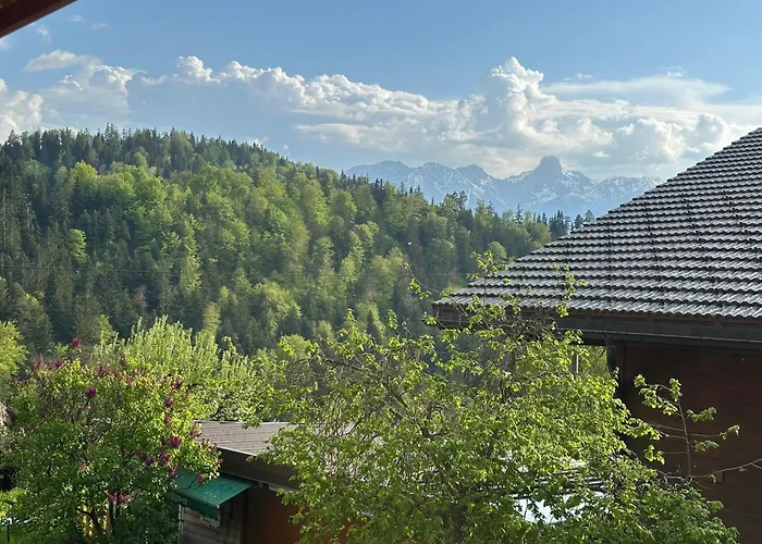 Apartman Time Out Near Of Thun & Emmental Region *